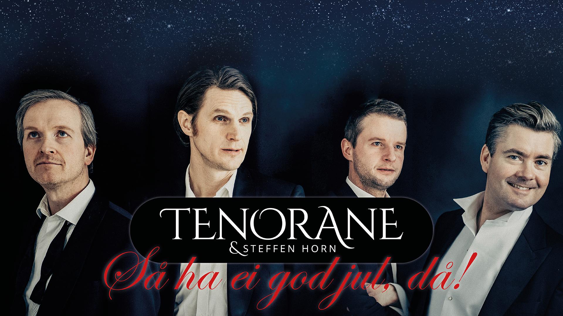 Plakat Så ha ei god jul, då! – Tenorane og Steffen Horn