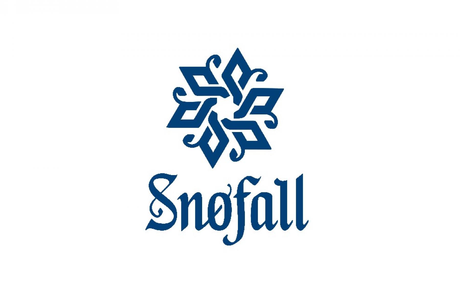 Plakat Snøfall